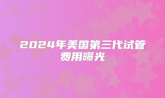 2024年美国第三代试管费用曝光