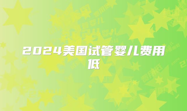 2024美国试管婴儿费用低