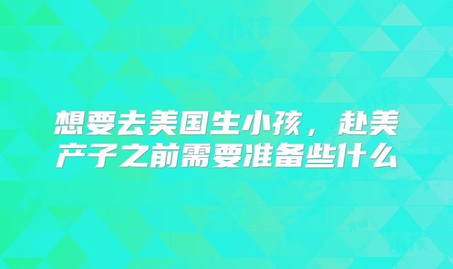 想要去美国生小孩，赴美产子之前需要准备些什么