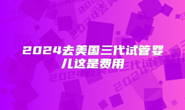 2024去美国三代试管婴儿这是费用