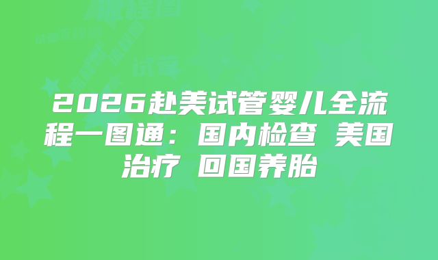 2026赴美试管婴儿全流程一图通：国内检查→美国治疗→回国养胎