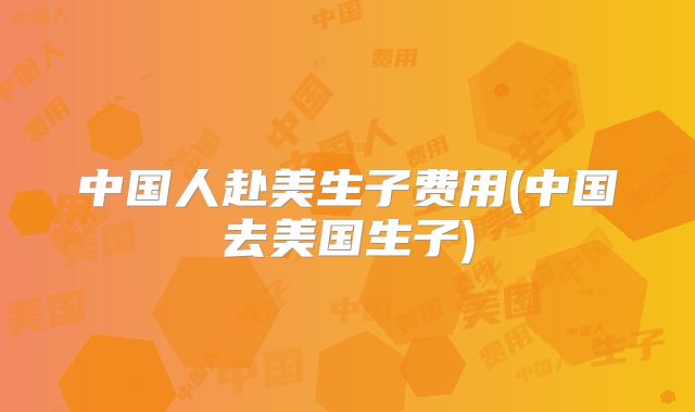 中国人赴美生子费用(中国去美国生子)