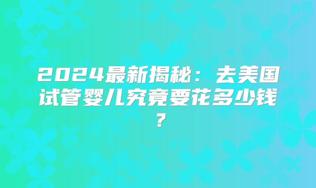 2024最新揭秘：去美国试管婴儿究竟要花多少钱？
