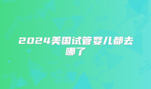 2024美国试管婴儿都去哪了