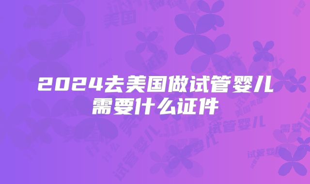 2024去美国做试管婴儿需要什么证件