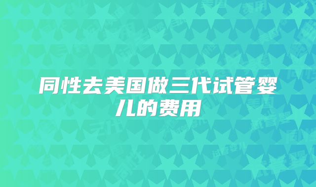 同性去美国做三代试管婴儿的费用