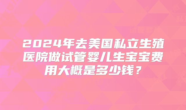 2024年去美国私立生殖医院做试管婴儿生宝宝费用大概是多少钱？