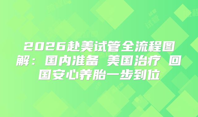 2026赴美试管全流程图解：国内准备→美国治疗→回国安心养胎一步到位