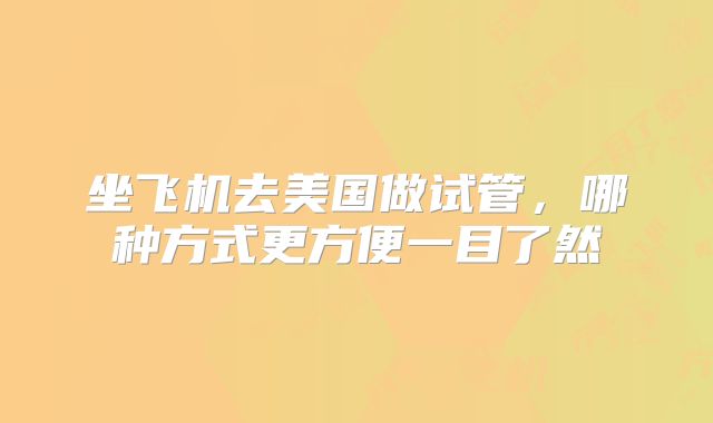 坐飞机去美国做试管，哪种方式更方便一目了然