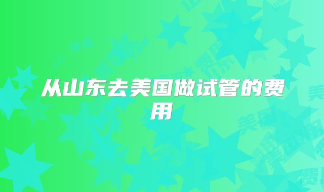 从山东去美国做试管的费用