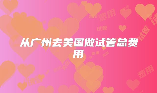 从广州去美国做试管总费用
