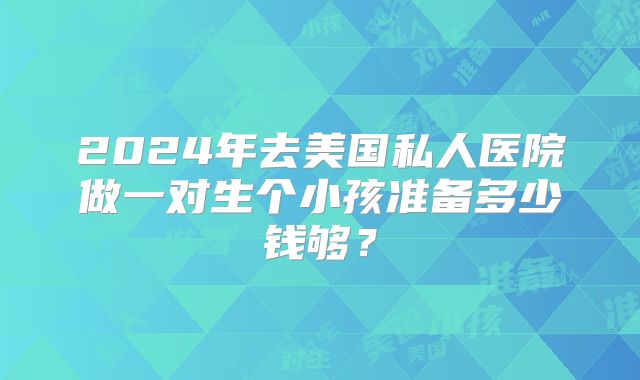 2024年去美国私人医院做一对生个小孩准备多少钱够？