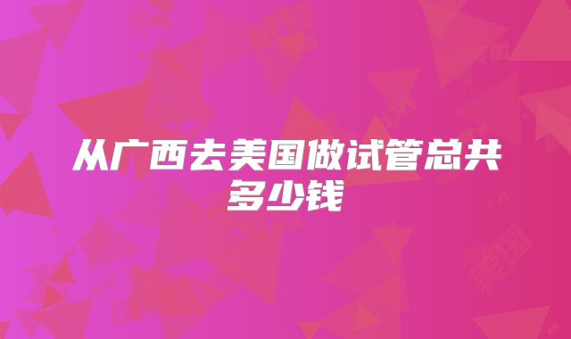从广西去美国做试管总共多少钱