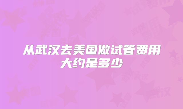 从武汉去美国做试管费用大约是多少