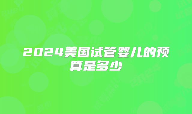 2024美国试管婴儿的预算是多少