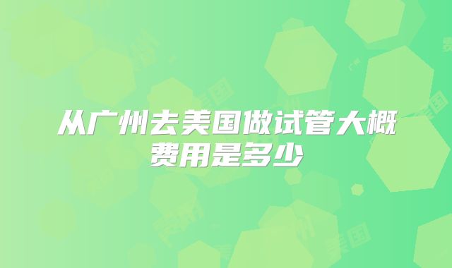 从广州去美国做试管大概费用是多少