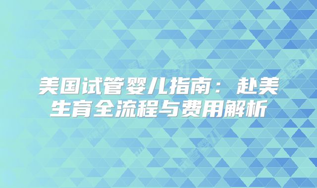 美国试管婴儿指南:赴美生育全流程与费用解析