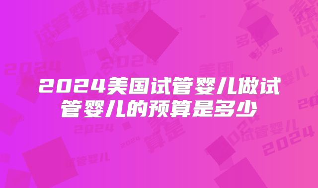 2024美国试管婴儿做试管婴儿的预算是多少