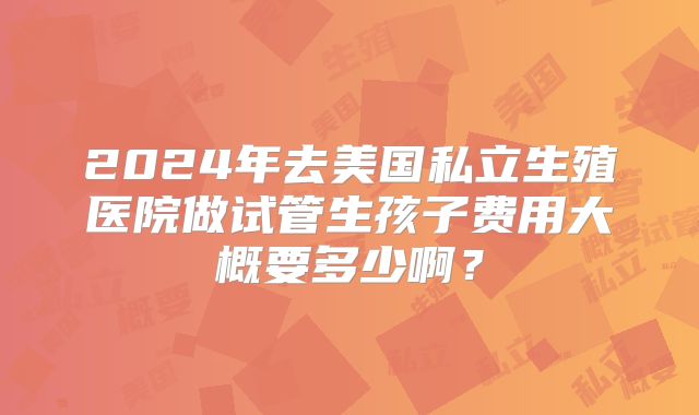 2024年去美国私立生殖医院做试管生孩子费用大概要多少啊？