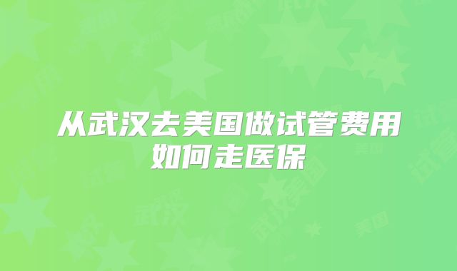 从武汉去美国做试管费用如何走医保