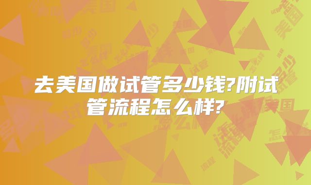 去美国做试管多少钱?附试管流程怎么样?