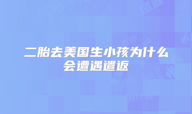 二胎去美国生小孩为什么会遭遇遣返