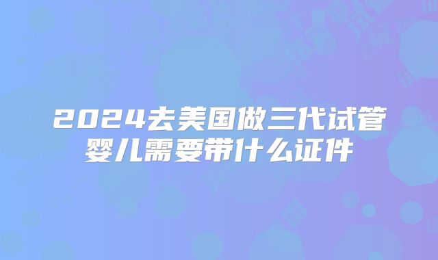 2024去美国做三代试管婴儿需要带什么证件