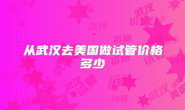从武汉去美国做试管价格多少