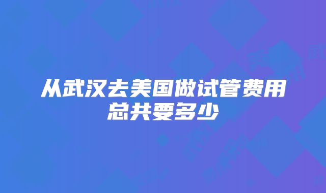 从武汉去美国做试管费用总共要多少