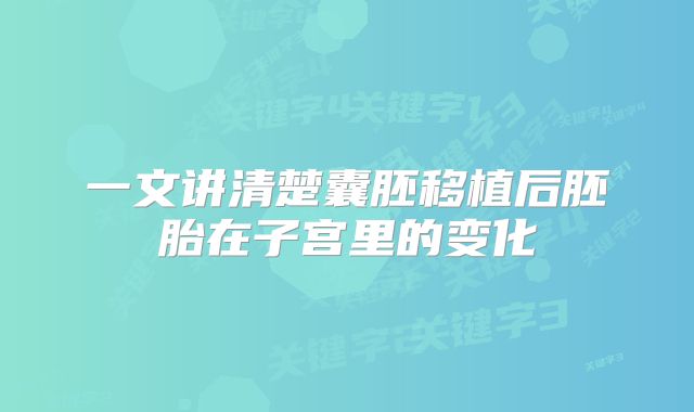 一文讲清楚囊胚移植后胚胎在子宫里的变化