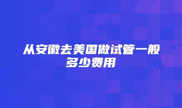 从安徽去美国做试管一般多少费用