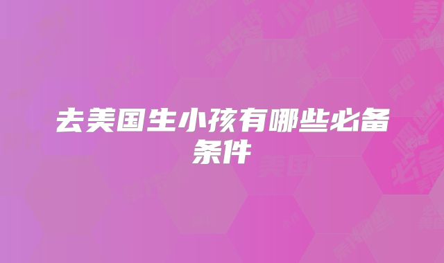 去美国生小孩有哪些必备条件