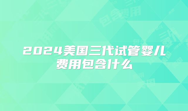 2024美国三代试管婴儿费用包含什么