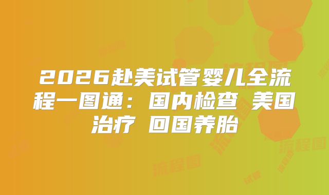 2026赴美试管婴儿全流程一图通：国内检查→美国治疗→回国养胎