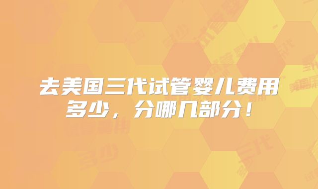 去美国三代试管婴儿费用多少，分哪几部分！
