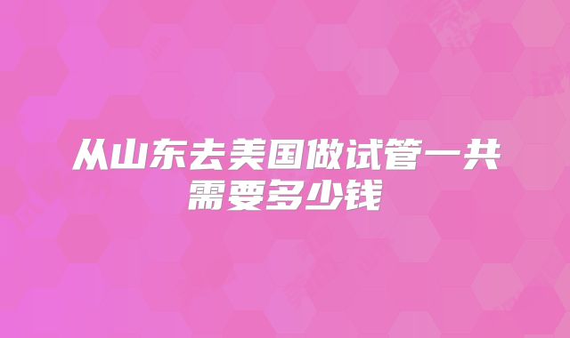 从山东去美国做试管一共需要多少钱
