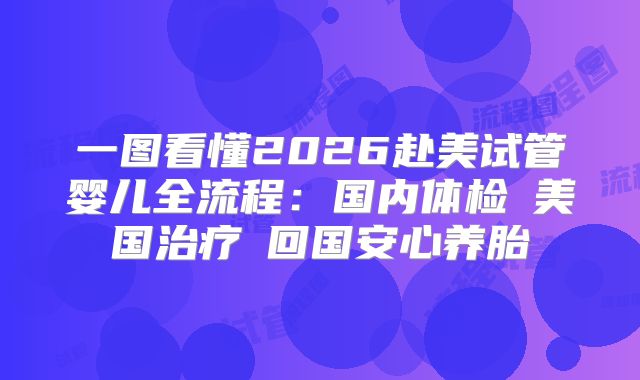 一图看懂2026赴美试管婴儿全流程：国内体检→美国治疗→回国安心养胎