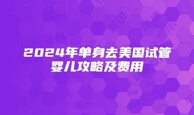 2024年单身去美国试管婴儿攻略及费用