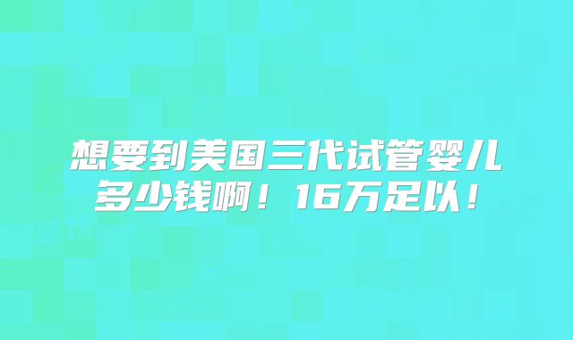 想要到美国三代试管婴儿多少钱啊！16万足以！