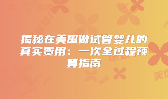 揭秘在美国做试管婴儿的真实费用:一次全过程预算指南