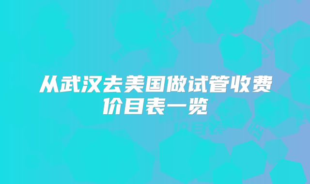 从武汉去美国做试管收费价目表一览