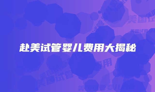 赴美试管婴儿费用大揭秘