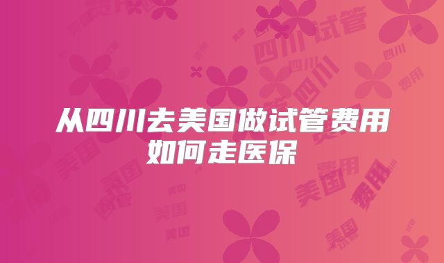 从四川去美国做试管费用如何走医保