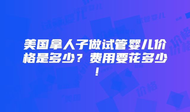 美国拿人子做试管婴儿价格是多少？费用要花多少！
