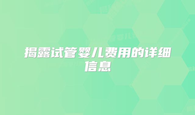 揭露试管婴儿费用的详细信息