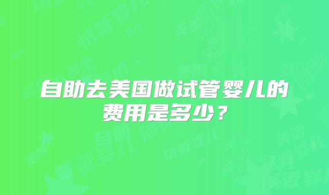 自助去美国做试管婴儿的费用是多少?