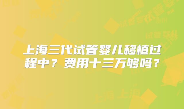 上海三代试管婴儿移植过程中？费用十三万够吗？