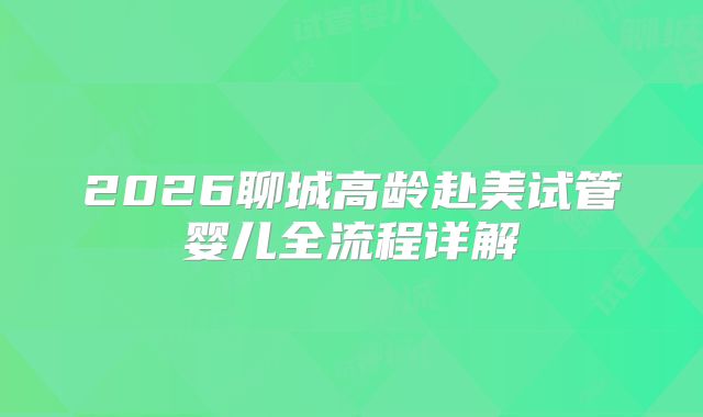 2026聊城高龄赴美试管婴儿全流程详解
