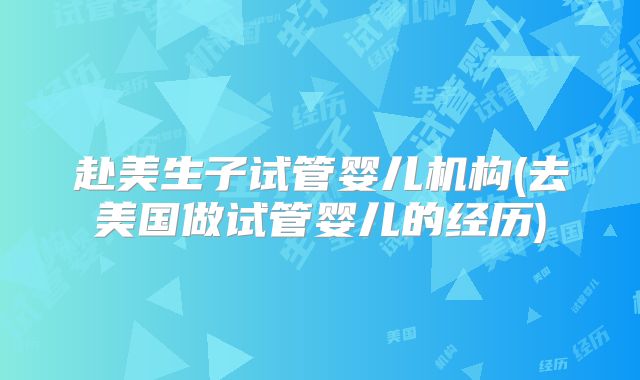 赴美生子试管婴儿机构(去美国做试管婴儿的经历)