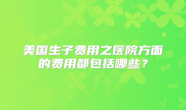 美国生子费用之医院方面的费用都包括哪些？